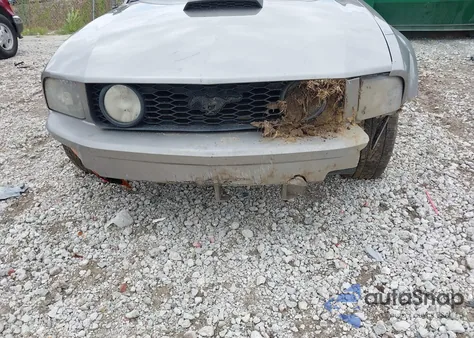 2008 Ford Mustang Gt Deluxe/Gt Premium from USA, damaged, VIN 1ZVHT82H885102038